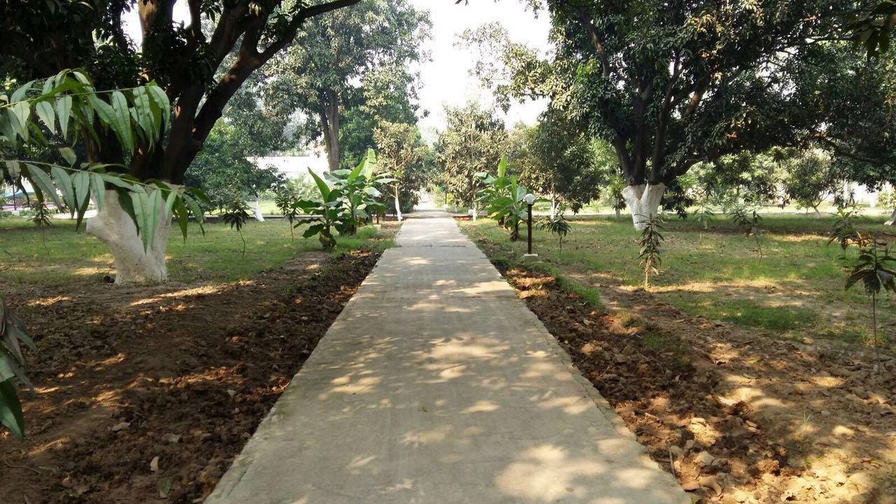 Rumah Maulana Saad Sahab